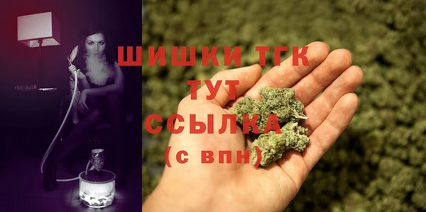 прущий лед Ельня