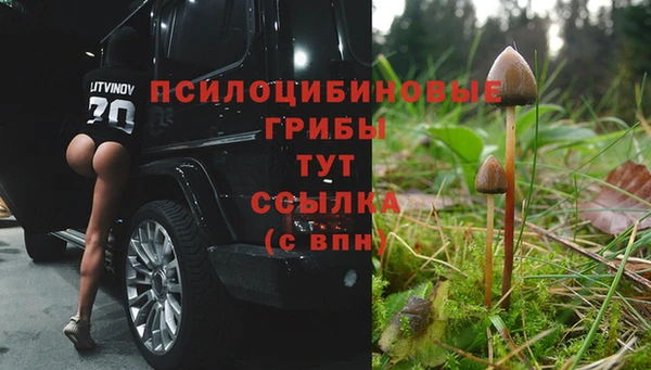 прущий лед Ельня