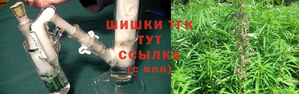 прущий лед Ельня