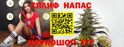 гидра Новозыбков