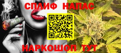 гидра Новозыбков