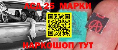 гидра Новозыбков