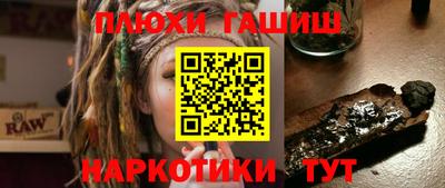 гидра Новозыбков
