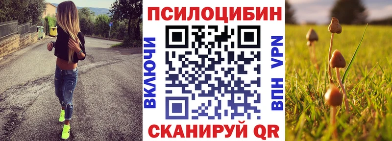 купить наркотик  Заречный  MEGA зеркало  Псилоцибиновые грибы ЛСД 