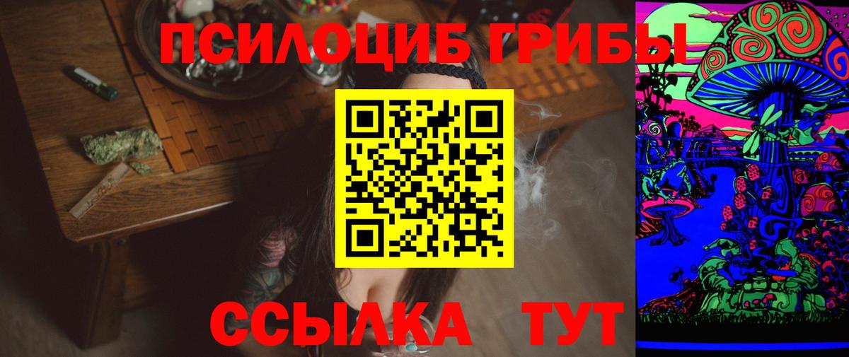 Псилоцибиновые грибы мицелий Заречный